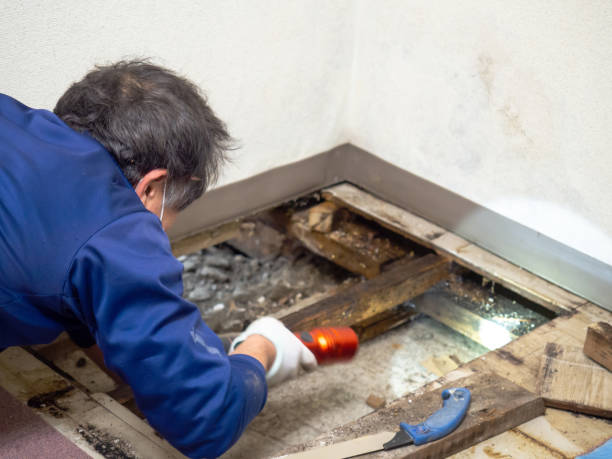 Best Crawl Space Mold Removal  in Concordia, KS