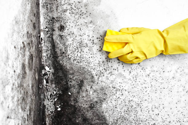 Water Damage Restoration in Concordia, KS