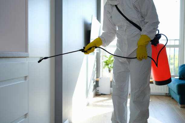 Best Mold Testing  in Concordia, KS