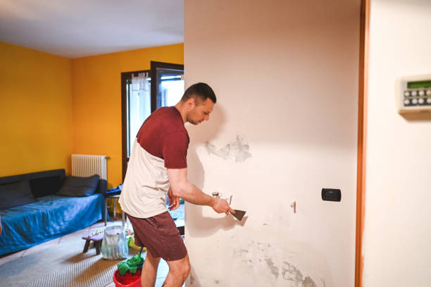 Trusted Concordia, KS Mold Removal Experts